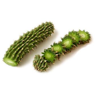 hoodia gordonia - sestava Reduslim