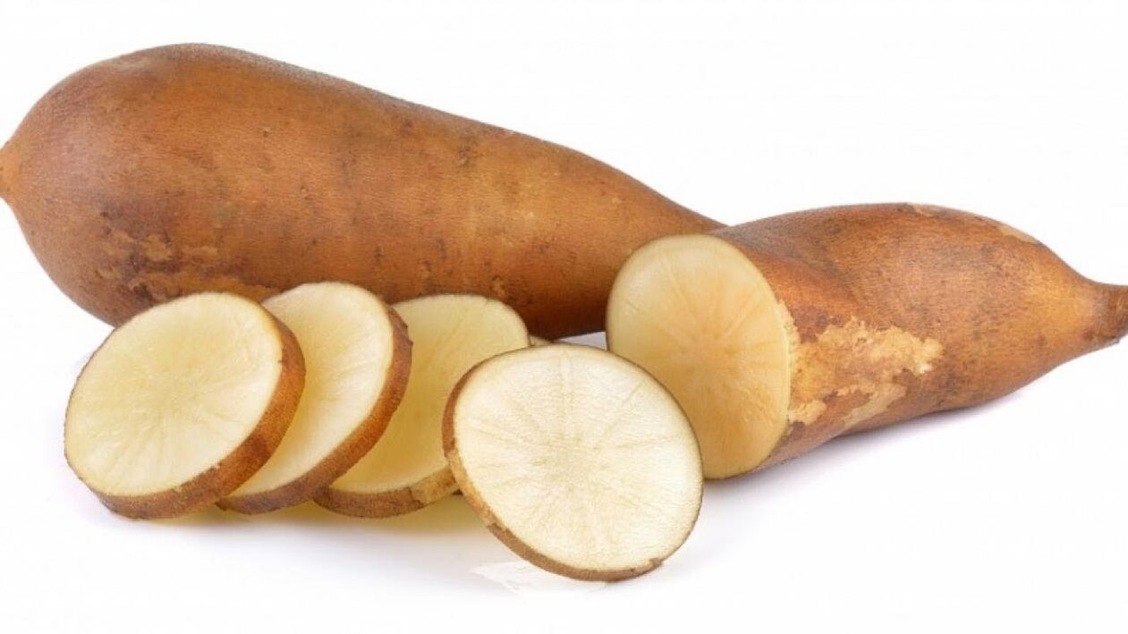 koren yacona - sestava Reduslim