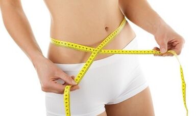 prednosti in slabosti najljubše diete