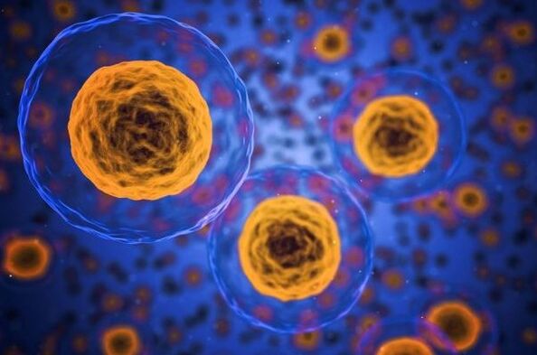 Kako poteka proces hujšanja